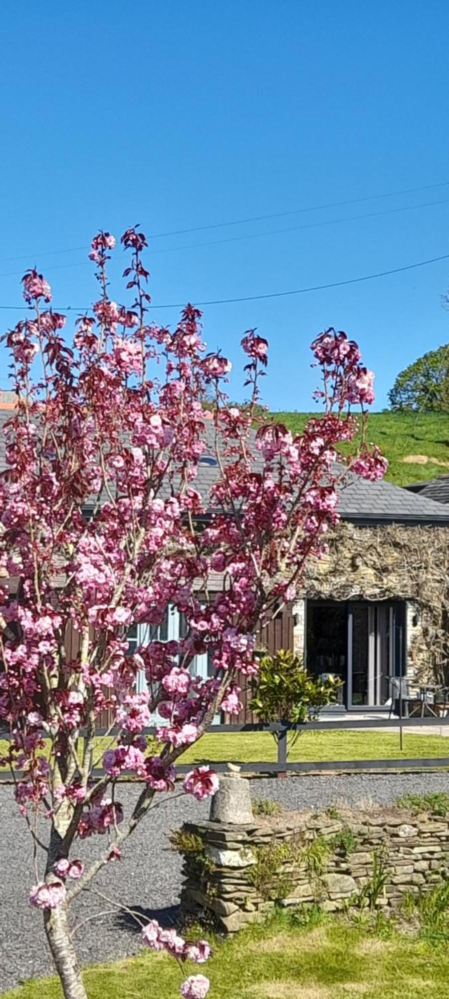 Wisteria Barn, Trewethen, St Teath, Nr Port Isaac Villa Saint Teath Eksteriør billede